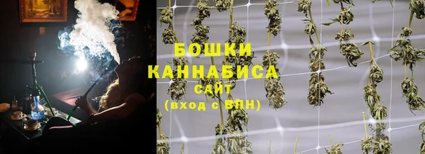 гидропоника Елабуга