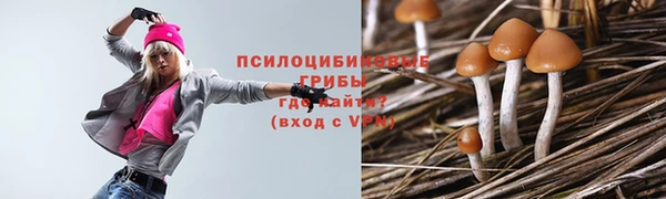 соль курить ск Ельня