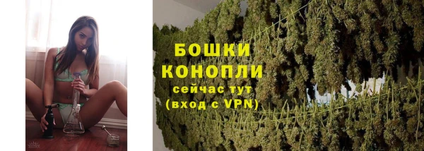 гидропоника Елабуга