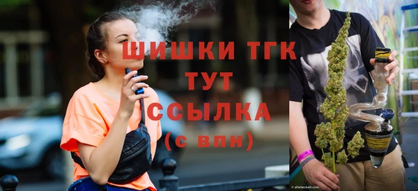 гидропоника Елабуга