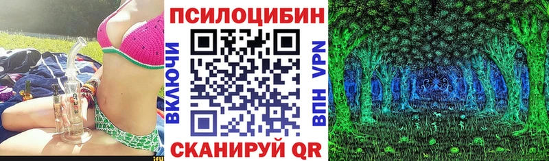 Псилоцибиновые грибы Psilocybine cubensis  Дзержинск 