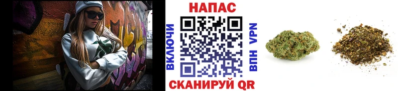 Бошки марихуана индика  Дзержинск 